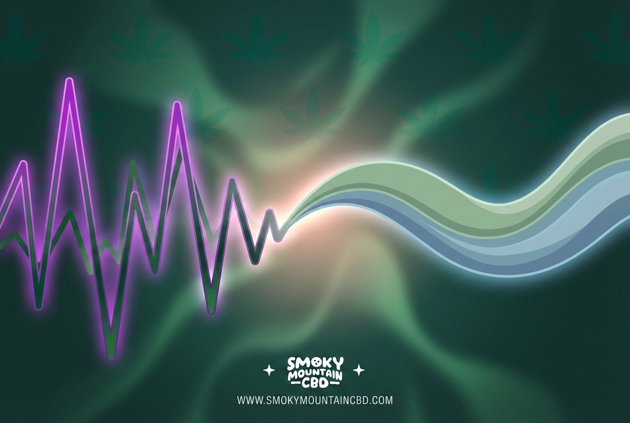 Abstract digital art illustration using soft waves and gradients of sage green and cool blue, symbolizing chaos smoothing into a gentle curve.